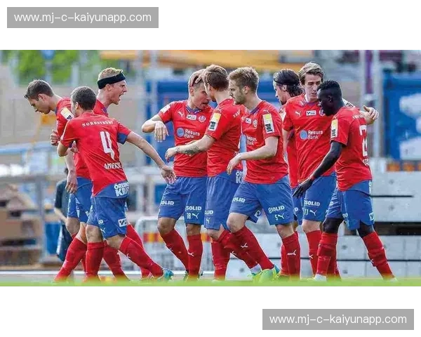 绿茵巅峰之战：延雪平vs马尔默，一场不容错过的北欧足球视觉盛宴